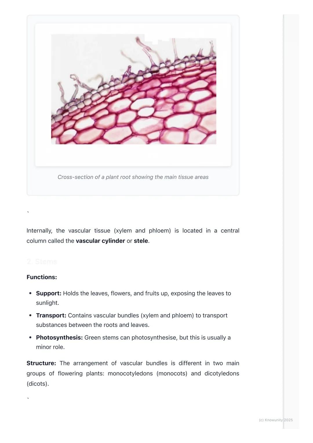 # Plant Structure
Introduction to plant organisation
Plants are multicellular organisms, just like us, but they're organised
differently.