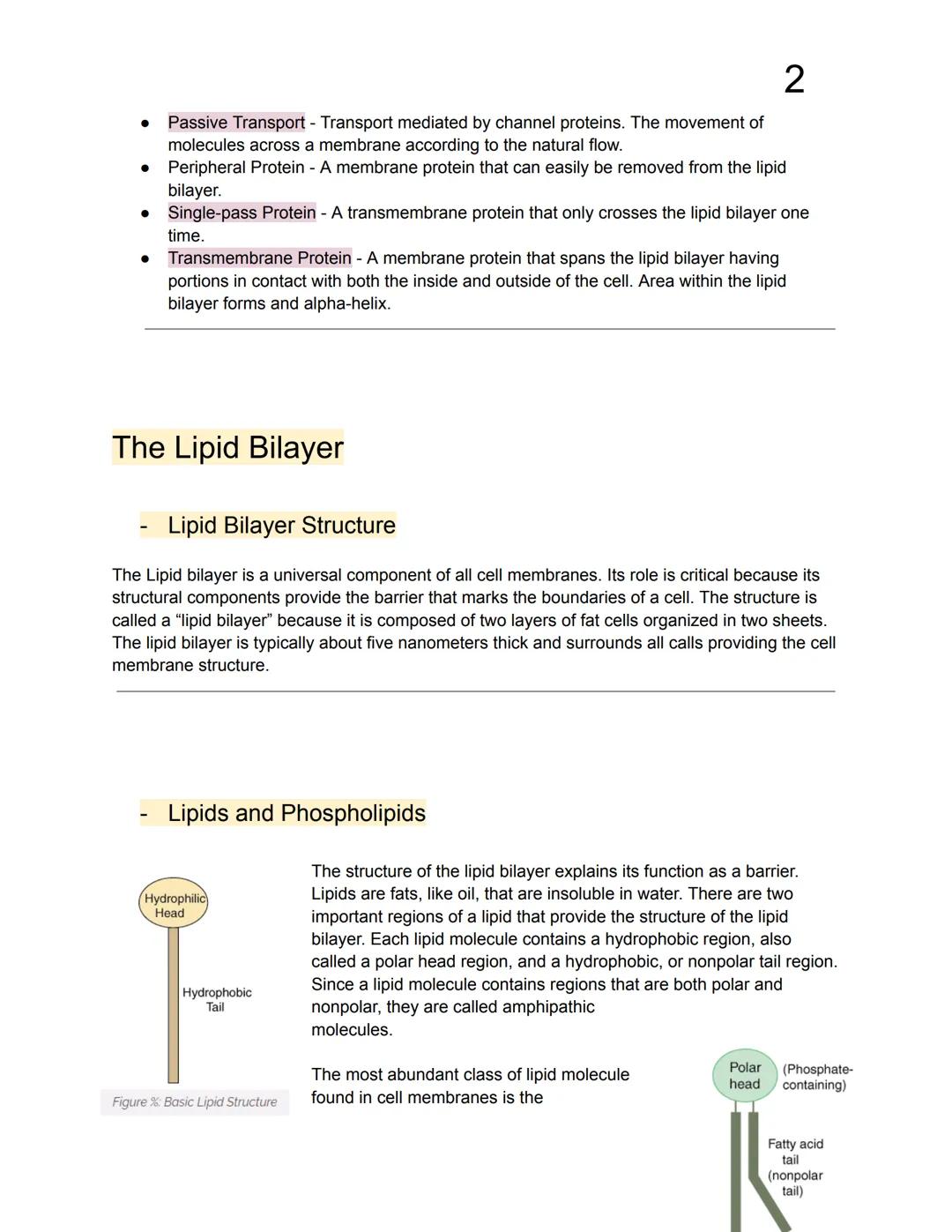 1
# Cell Membranes
- Important structures because they function as a barrier from the outside environment.
- Acts as a threshold which sel