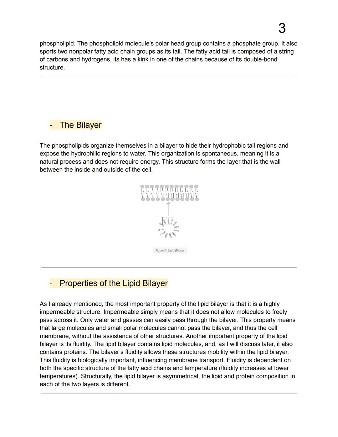 1
# Cell Membranes
- Important structures because they function as a barrier from the outside environment.
- Acts as a threshold which sel