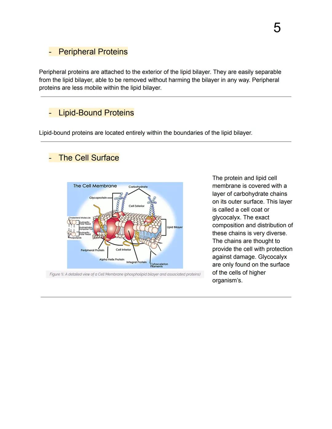 1
# Cell Membranes
- Important structures because they function as a barrier from the outside environment.
- Acts as a threshold which sel
