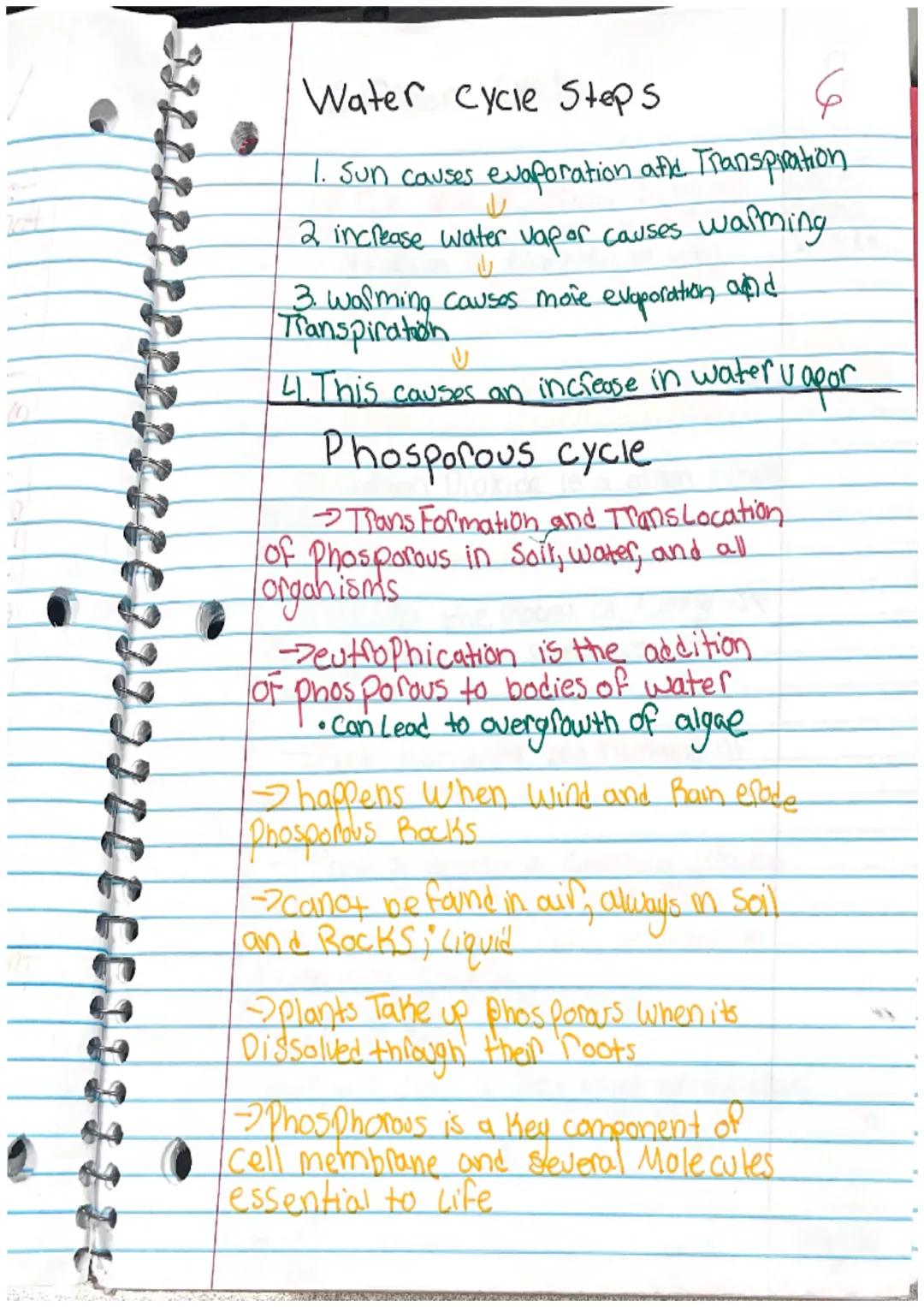 Water cycle
→ The process of water being cycled
through the atmosphere.
• Driven by the Sun
• Crucial to the existance of Life on earth.
Wat