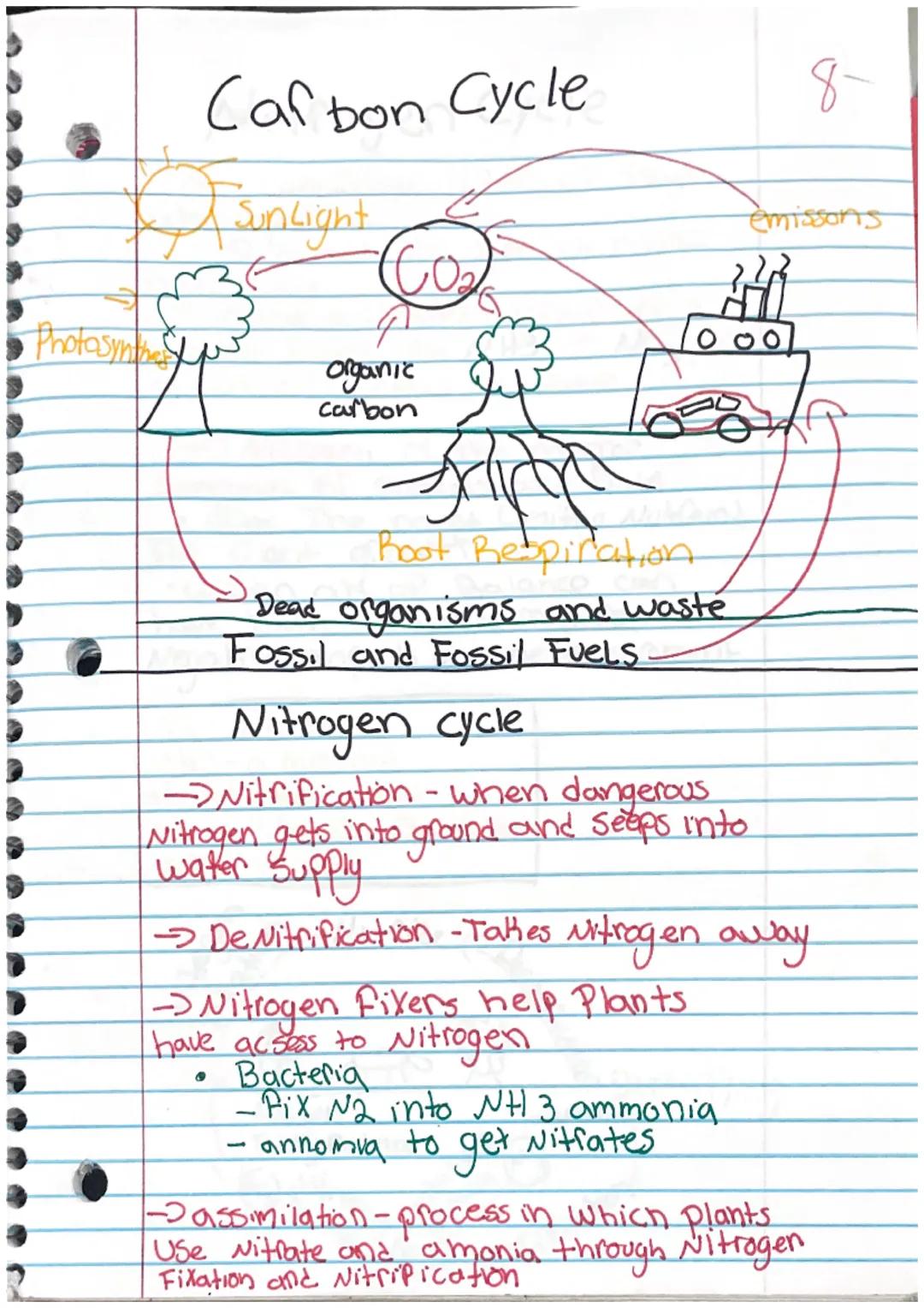 Water cycle
→ The process of water being cycled
through the atmosphere.
• Driven by the Sun
• Crucial to the existance of Life on earth.
Wat