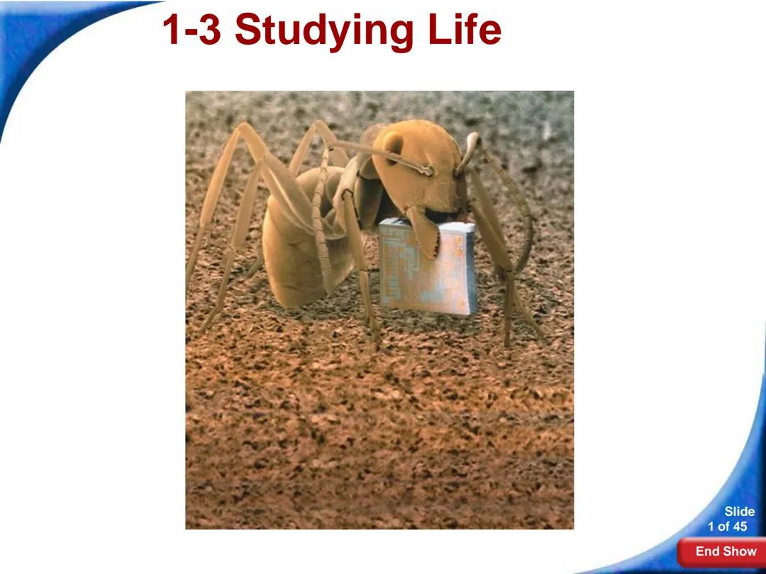 Studying Life
