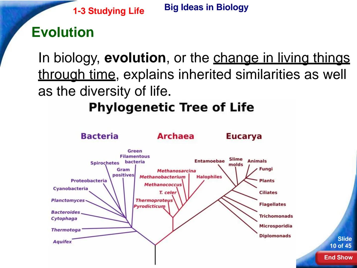 # 1-3 Studying Life
Slide
1 of 45
End Show # 1-3 Studying Life Characteristics of Living Things
What are some characteristics of living
t