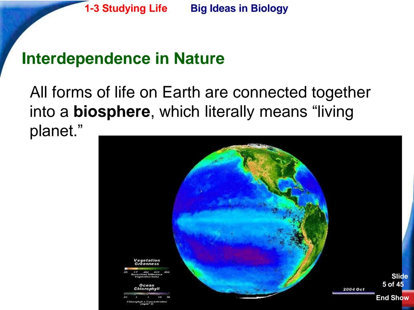 # 1-3 Studying Life
Slide
1 of 45
End Show # 1-3 Studying Life Characteristics of Living Things
What are some characteristics of living
t