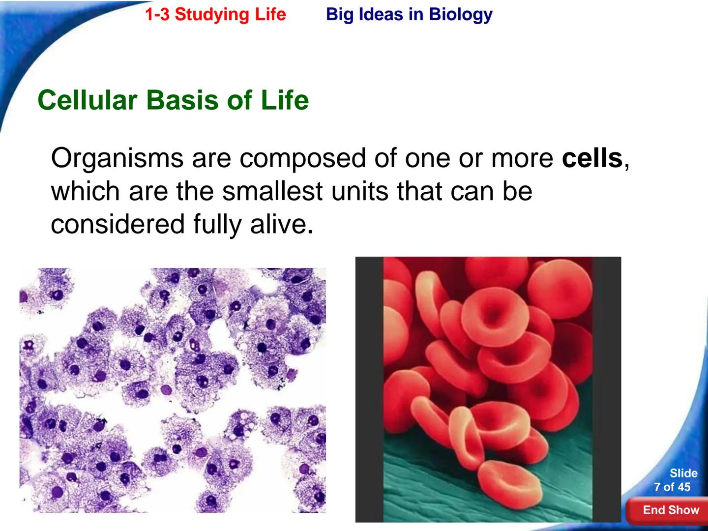 # 1-3 Studying Life
Slide
1 of 45
End Show # 1-3 Studying Life Characteristics of Living Things
What are some characteristics of living
t