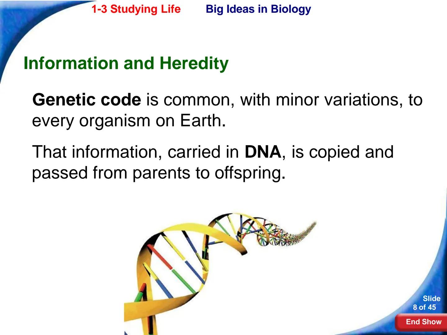 # 1-3 Studying Life
Slide
1 of 45
End Show # 1-3 Studying Life Characteristics of Living Things
What are some characteristics of living
t