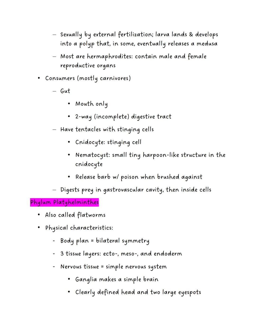 Phylum Porifera
Example: Sponges
Physical Characteristics
●
Invertebrates
Asymmetrical
No tissues
No coelom (acelomates)
Evolutionary Advanc
