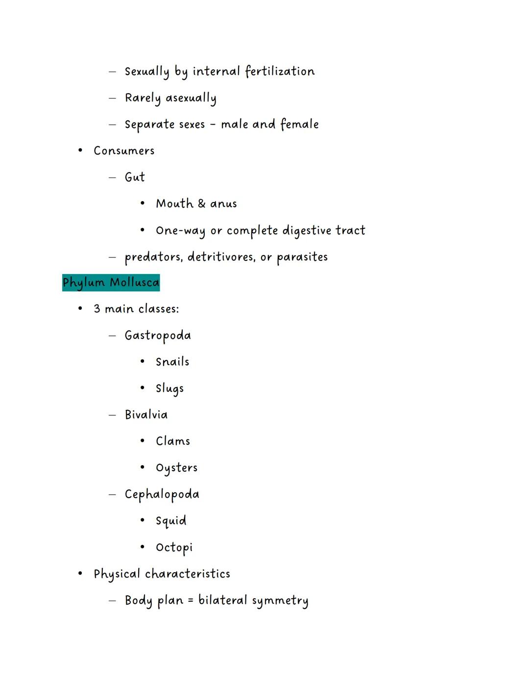 Phylum Porifera
Example: Sponges
Physical Characteristics
●
Invertebrates
Asymmetrical
No tissues
No coelom (acelomates)
Evolutionary Advanc