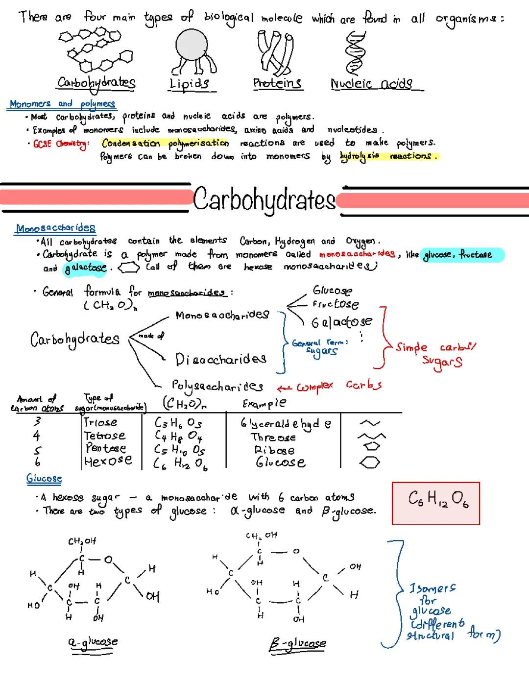 carbohydrates