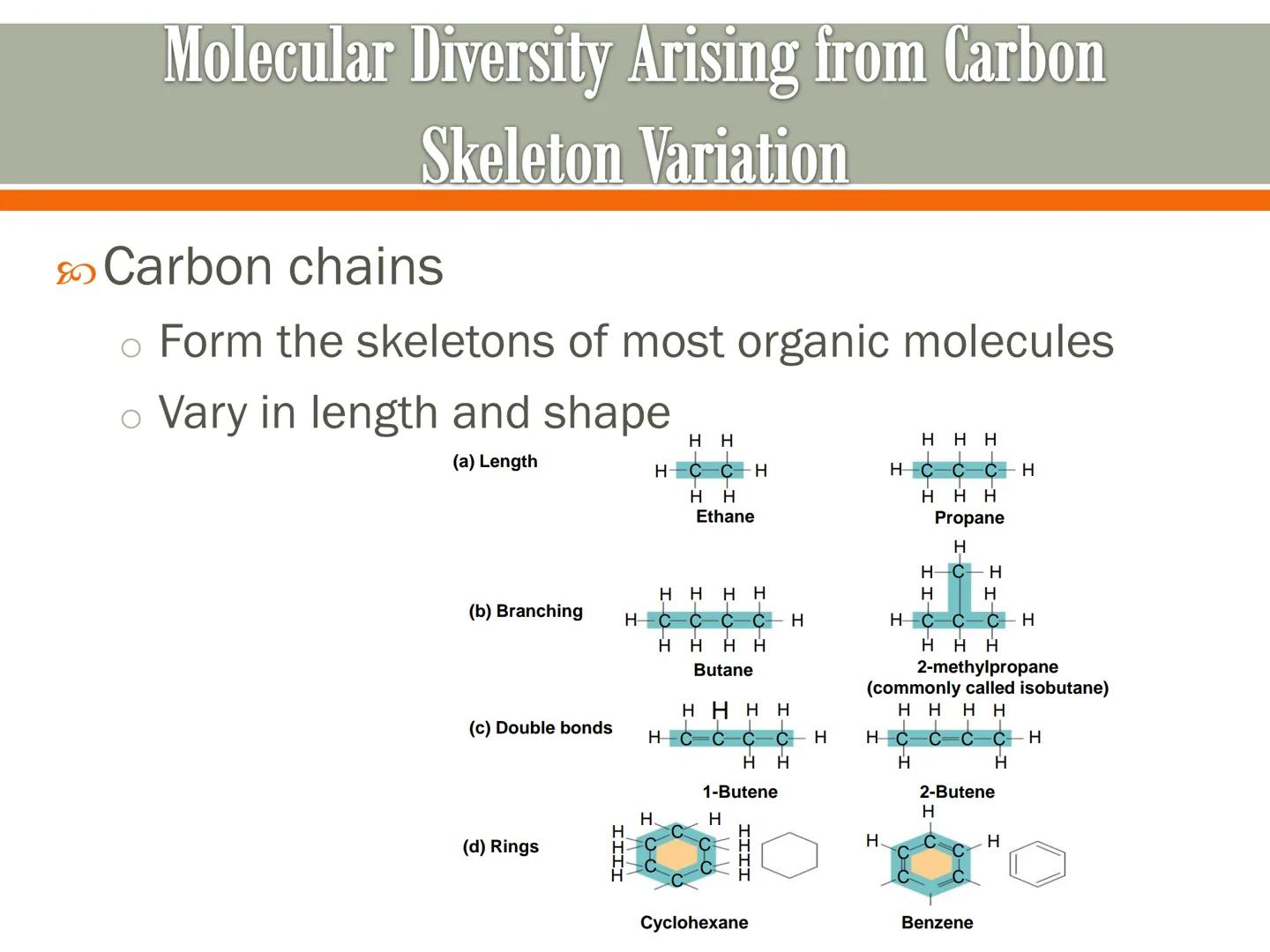 # Carbon and the Molecular
# Diversity of Life
Lecture 2a # Carbon—The Backbone of Biological Molecules
All living organisms
* Are mad