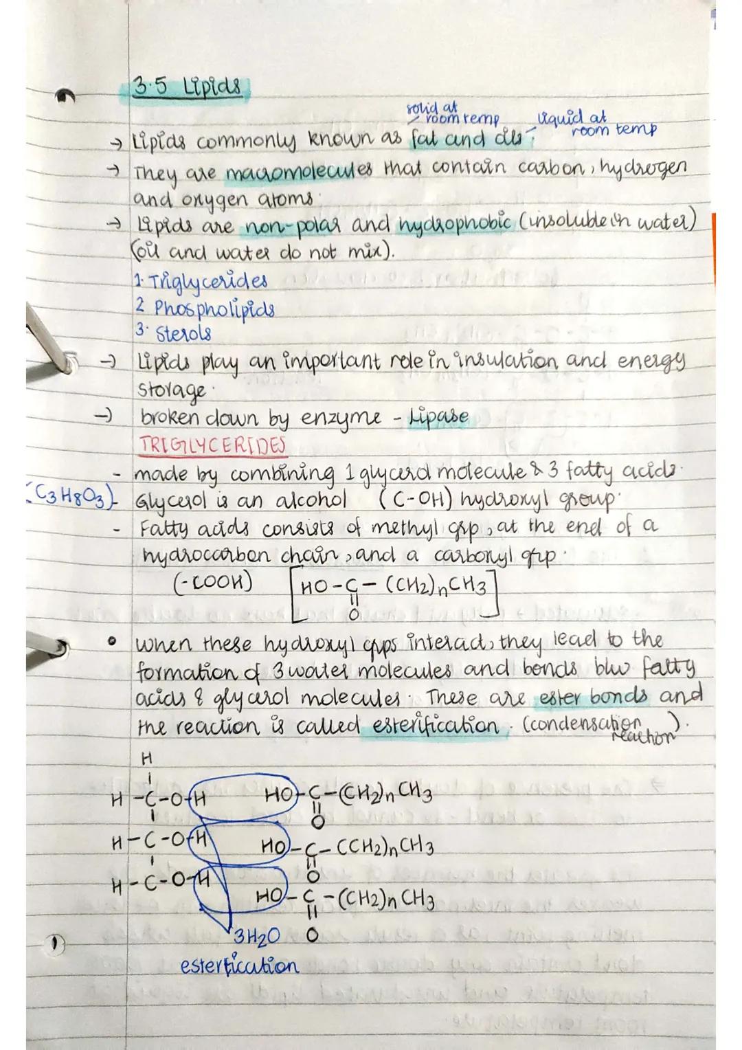 31 BIOLOGICAL MOLECULES
(118) Different types of atoms are called elements. Elements are
distinguished by the no of protons in their atomic
