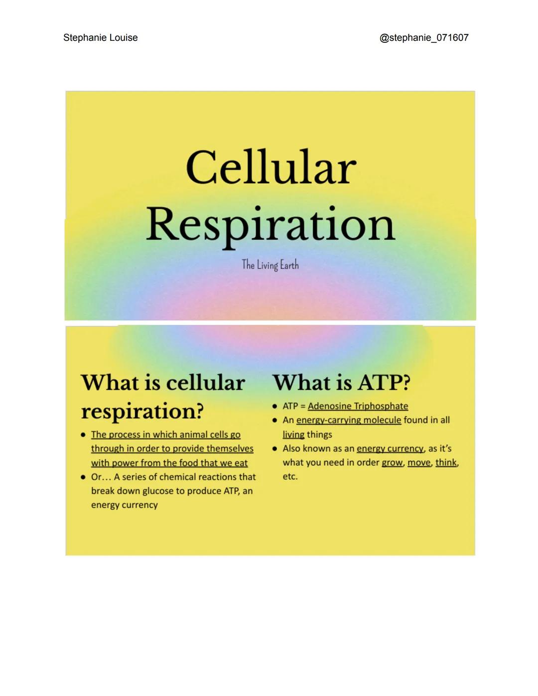 Stephanie Louise
@stephanie_071607
Cellular
Respiration
The Living Earth
What is cellular
respiration?
The process in which animal cells go