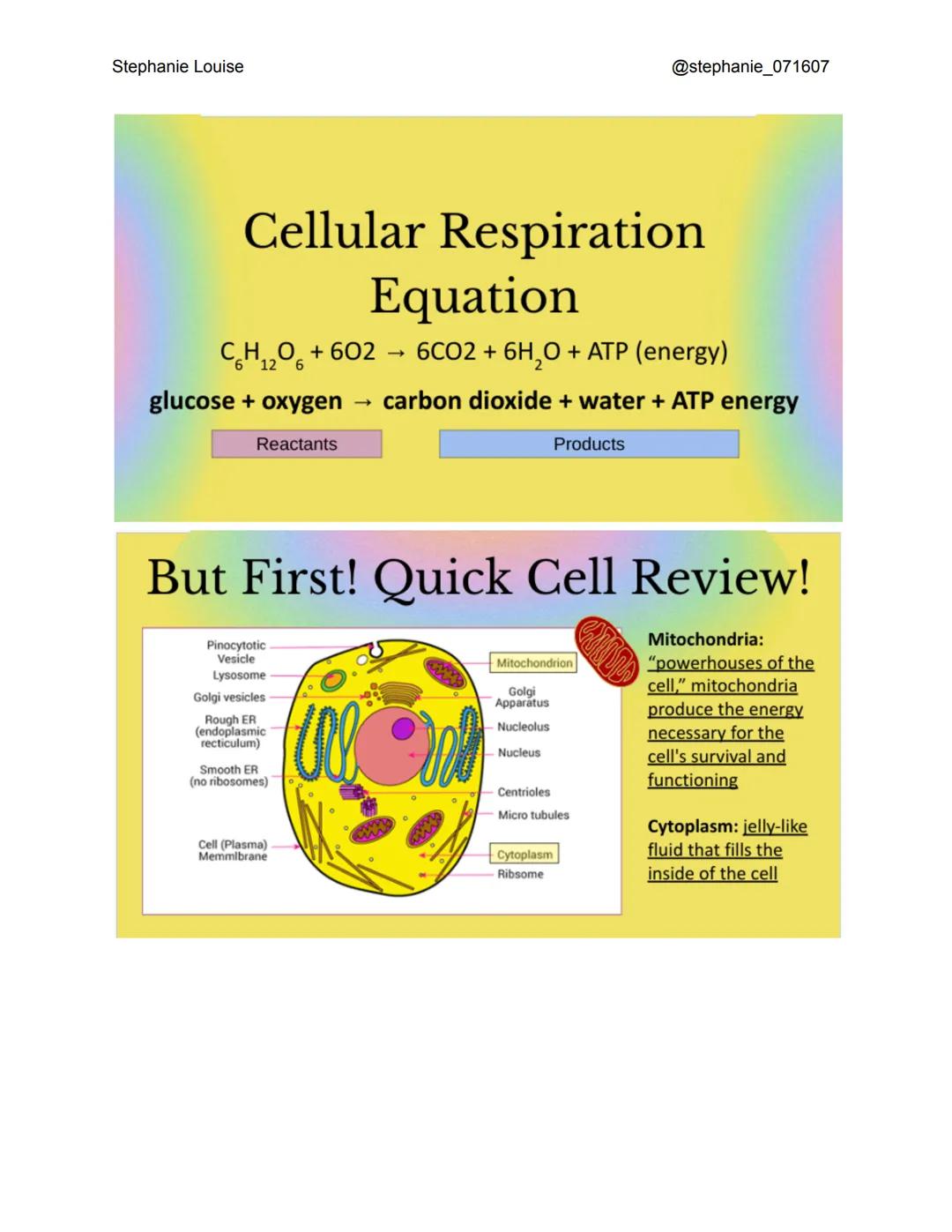 Stephanie Louise
@stephanie_071607
Cellular
Respiration
The Living Earth
What is cellular
respiration?
The process in which animal cells go
