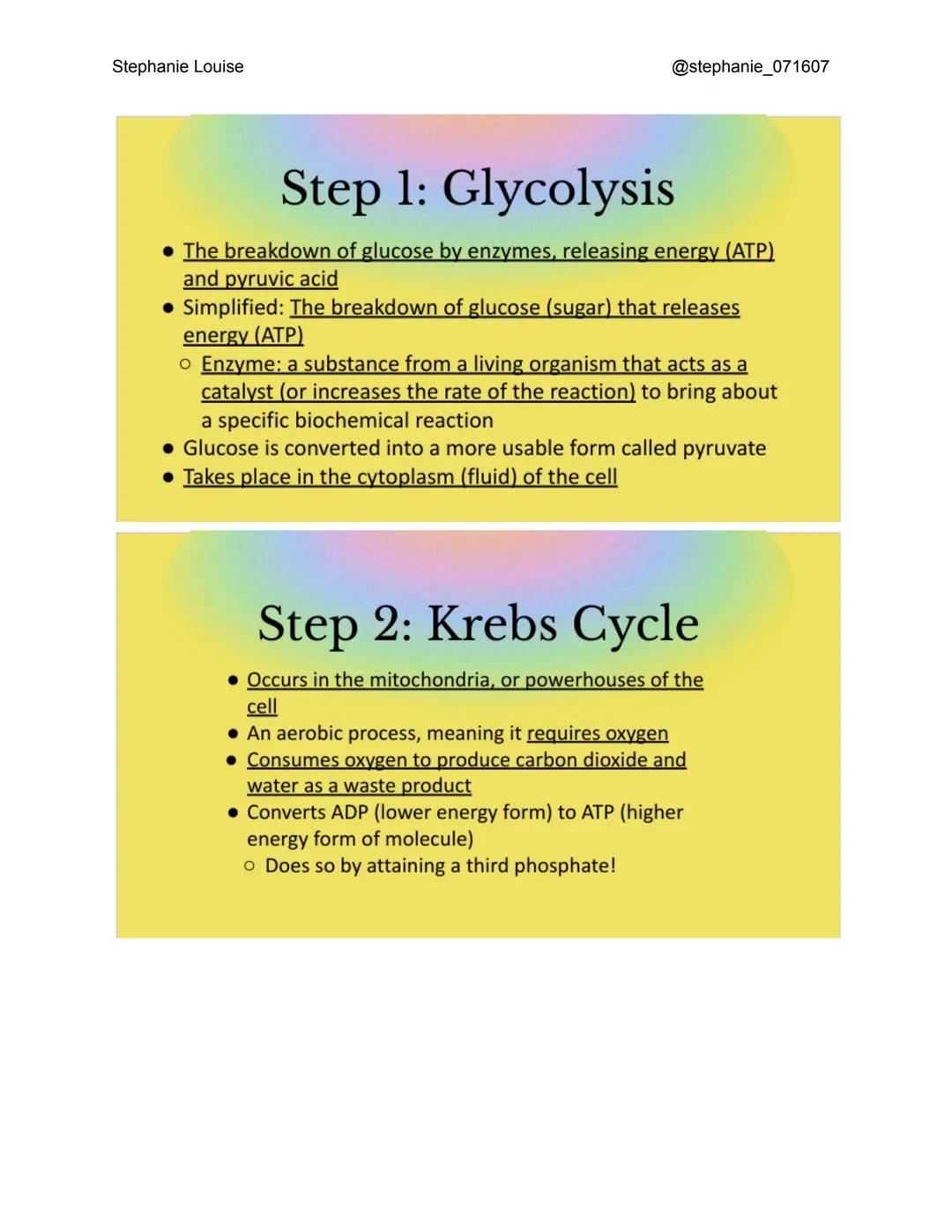 Stephanie Louise
@stephanie_071607
Cellular
Respiration
The Living Earth
What is cellular
respiration?
The process in which animal cells go