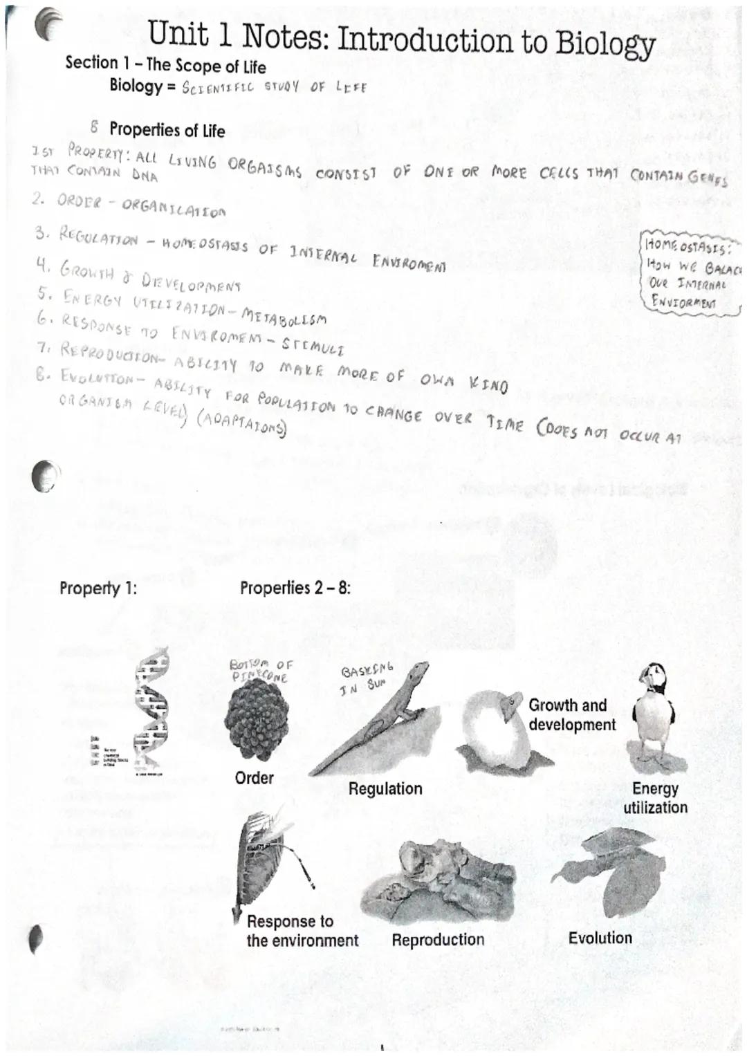 # Unit 1 Notes: Introduction to Biology
Section 1 - The Scope of Life
Biology SCIENTIFIC STUDY OF LEFE
8 Properties of Life
IST PROPERTY: A