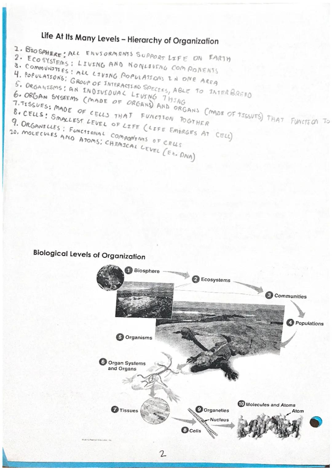 # Unit 1 Notes: Introduction to Biology
Section 1 - The Scope of Life
Biology SCIENTIFIC STUDY OF LEFE
8 Properties of Life
IST PROPERTY: A