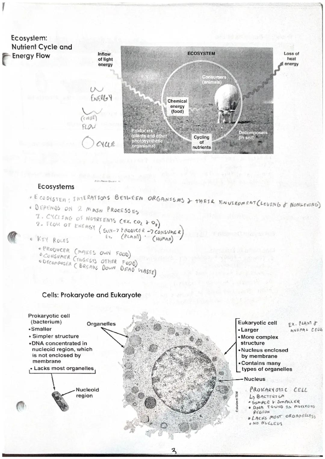 # Unit 1 Notes: Introduction to Biology
Section 1 - The Scope of Life
Biology SCIENTIFIC STUDY OF LEFE
8 Properties of Life
IST PROPERTY: A