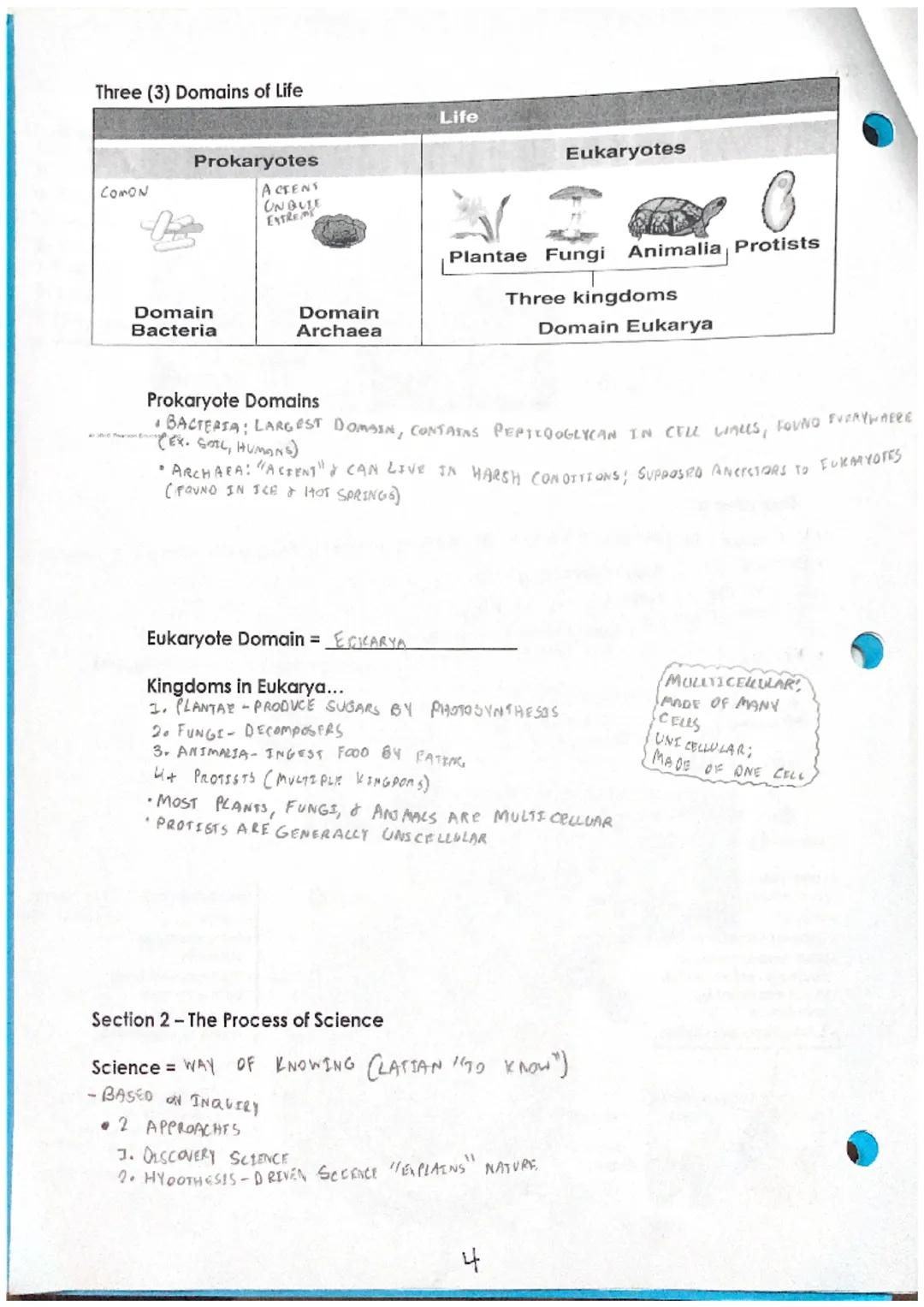 # Unit 1 Notes: Introduction to Biology
Section 1 - The Scope of Life
Biology SCIENTIFIC STUDY OF LEFE
8 Properties of Life
IST PROPERTY: A