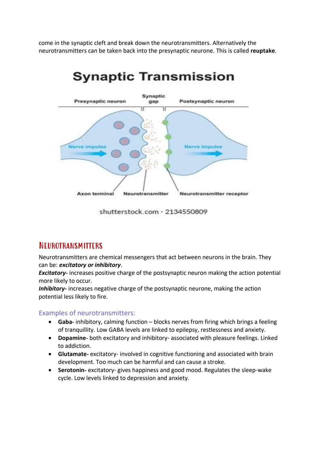 # Synaptic Transmission
ACTION POTENTIAL
• At resting state, the inside of a cell is negatively charged relative to the outside.
• When a