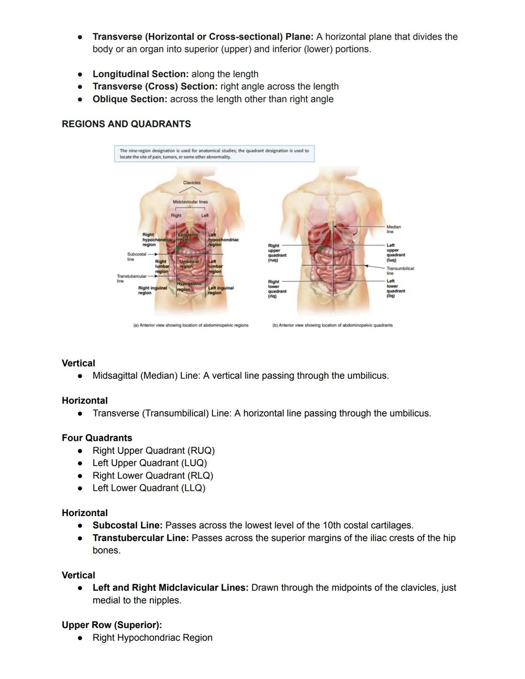 ANATOMY AND PHYSIOLOGY
THE HUMAN BODY
ANATOMY
• The study of the structure and shape of the body and its parts and their relationships to
on