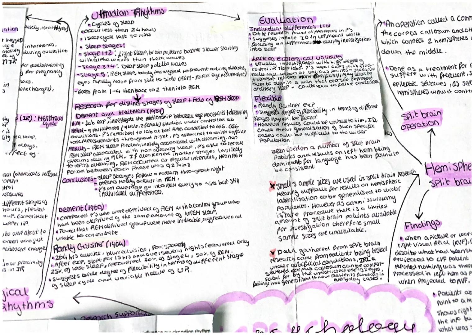 Broca's area
• Siench Production
Damage Coubes Bren's afhocia
• Sreach lacking Aworay
oft hemisphere
looket mege
grown with
this faction
MER