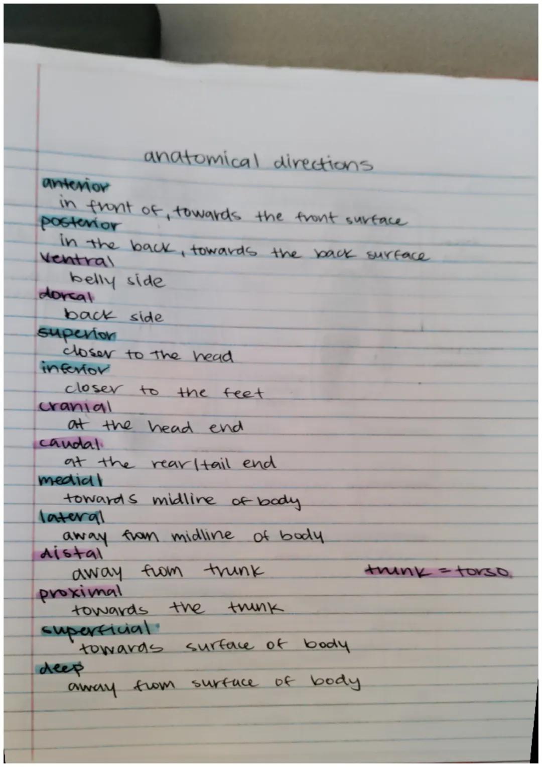 Organization of the
human body
anatomy vs physiology
·anatomy: study of structure of
·physiology: study of
function
Body Systems
Skeletal
•s